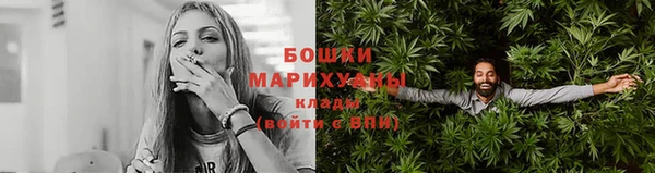 дживик Горняк