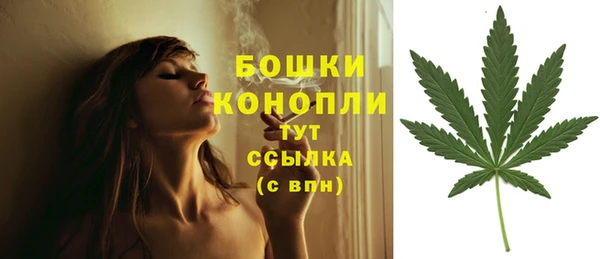 дживик Горняк