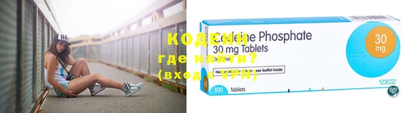 индика Вязники