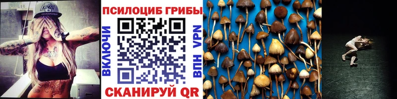 Галлюциногенные грибы Cubensis  ссылка на мегу маркетплейс  Ростов-на-Дону  закладка 